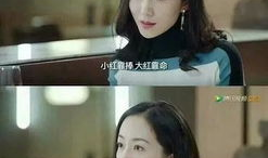 娱乐圈全员吃瓜文小说,全民瓜田，谁主沉浮